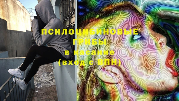 ГАЛЛЮЦИНОГЕННЫЕ ГРИБЫ Нягань